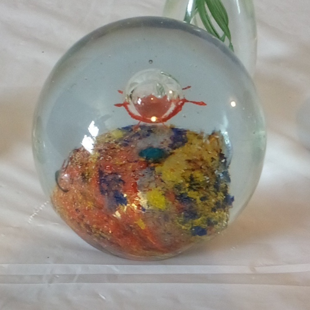 Glass nautical paperweights vintage shells, anemone, sea grass & reef - Picture 6 of 8